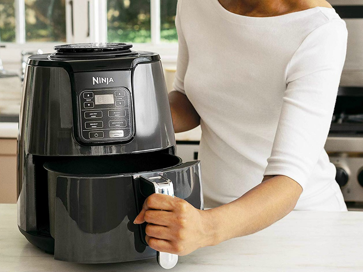 ninja 4 quart air fryer