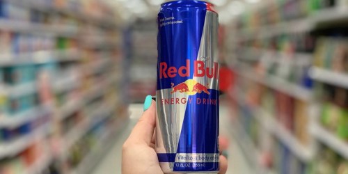 Free Red Bull Drink for Big Lots Rewards Members