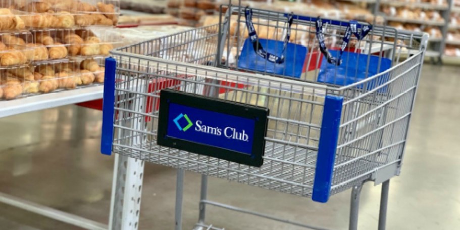 OVER $22,500 in Sam’s Club Instant Savings | HOT Deals on iPads, Smart Home Devices & More)