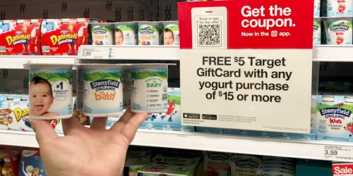 Stonyfield YoBaby Organic Yogurt 6-Pack Only 67¢ Each After Cash Back & Target Gift Card