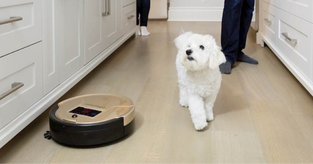 bObsweep - Bob PetHair Self-Charging Robot Vacuum & Mop