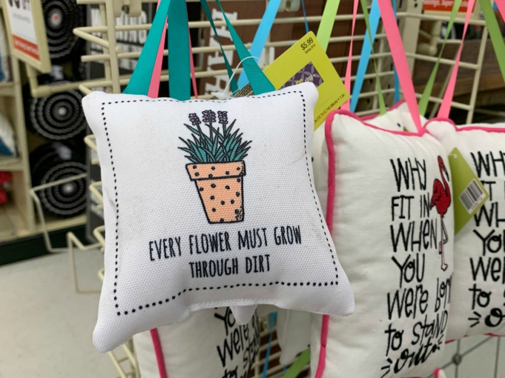 decorative pillows on display at store