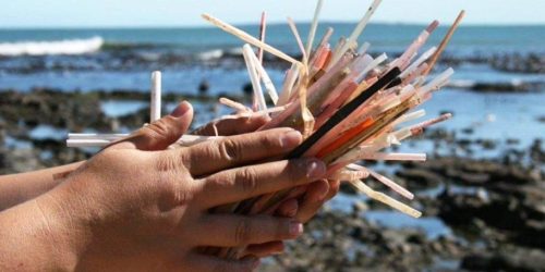 3 Eco-Friendly Straws to Love (Plus 1 That Sucks!)