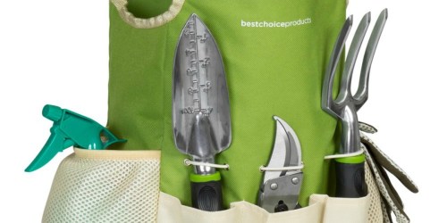 9-Piece Gardening Set Only $16.99 Shipped – Includes Bag, Tools, Gloves & More