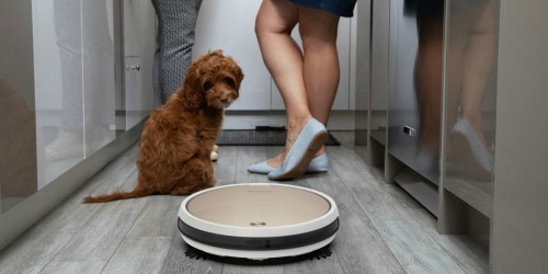 bObsweep PRO Robotic Vacuum Cleaner Only $150 Shipped (Regularly $650)