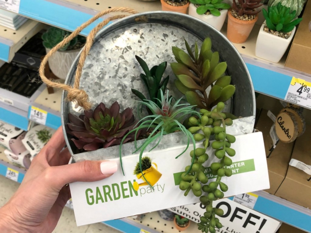 hand holding silver tin with plants inside 