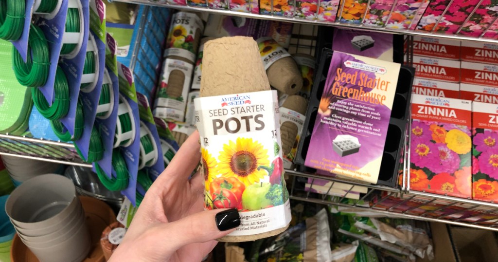 Dollar Tree seed starter pots