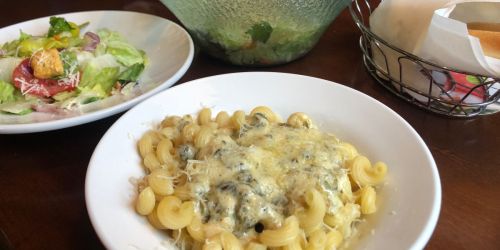 Up to 15% Off Olive Garden Entrees