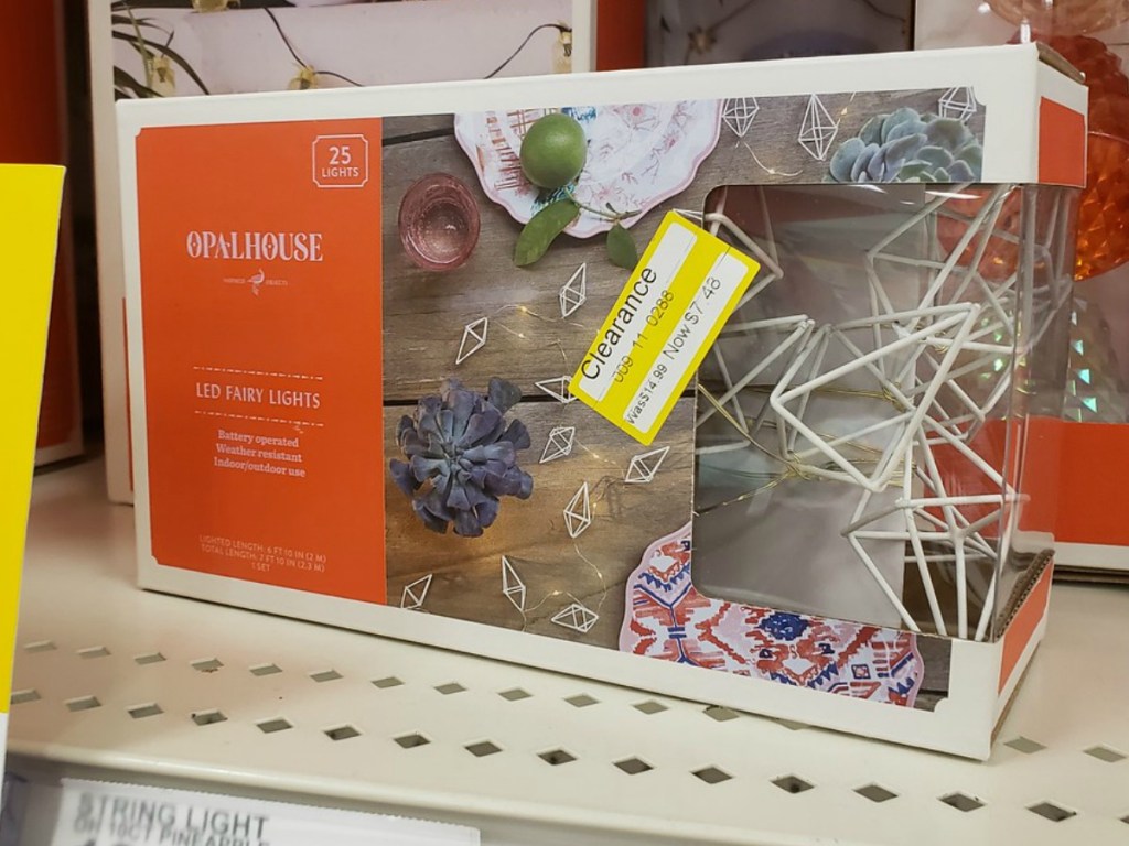 package of outdoor fairy lights on store shelf