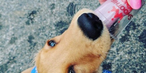 FREE Smoothie King Frozen Yogurt for Your Dog