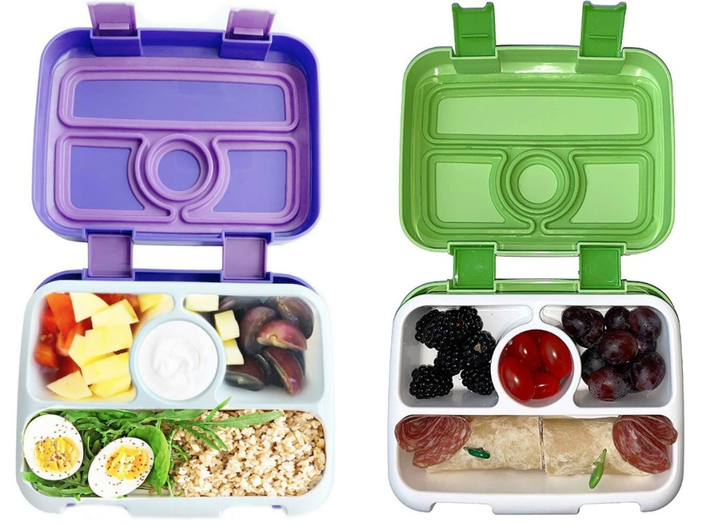 purple and green bento boxes