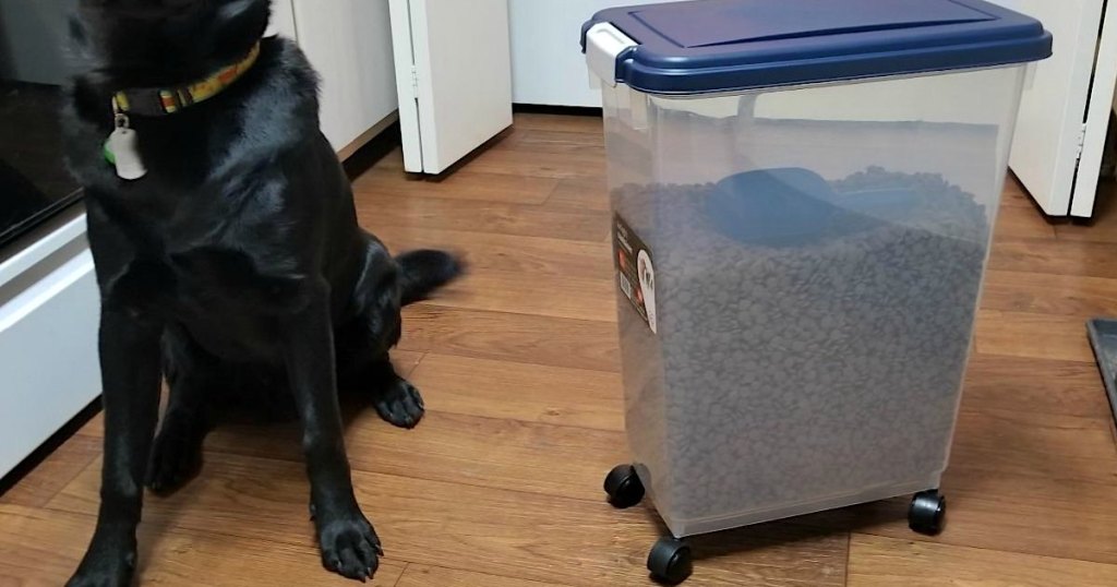 dog sitting by pet food container 