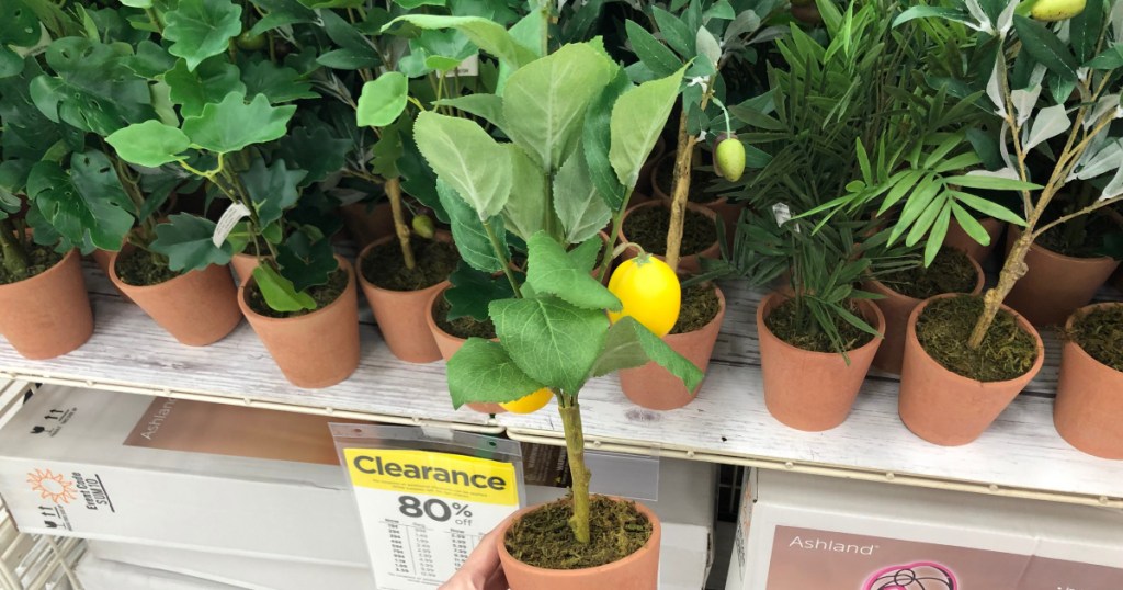 woman holding ashland springs mini tree