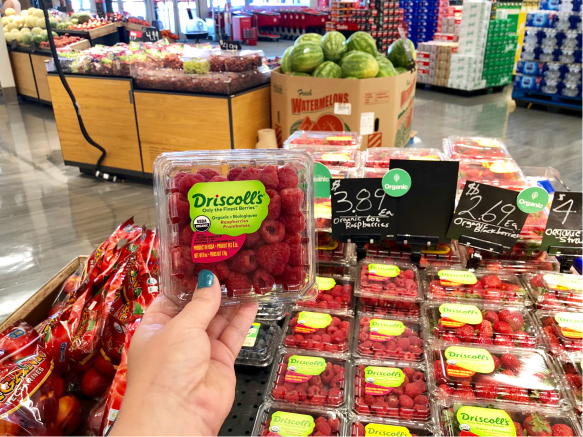 hand holding Driscott's Organic Raspberries at Target