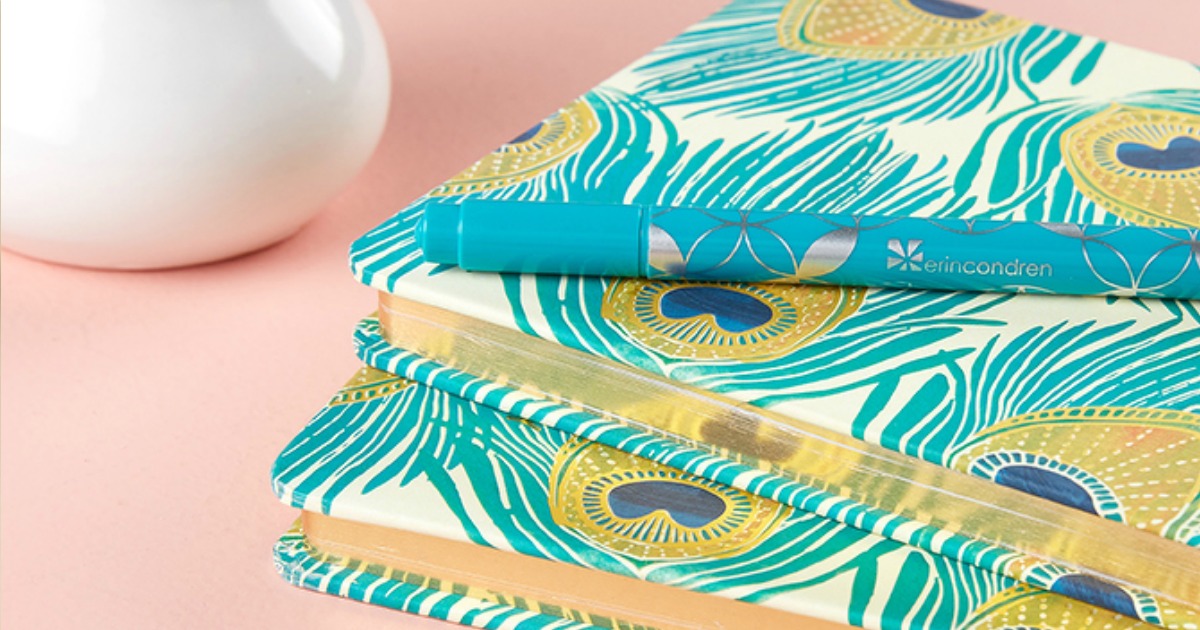 stacked Erin Condren Peacock journals with pen