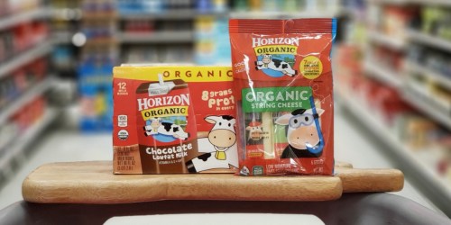 $2 Worth Of New Horizon Organic Product Coupons + Target Deal Ideas