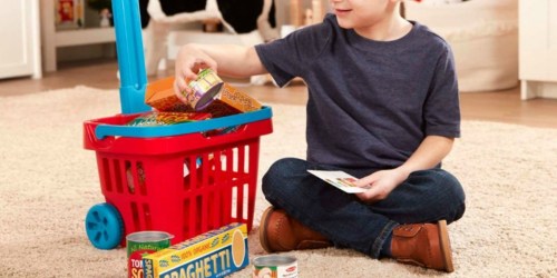 Melissa & Doug Grocery Basket Play Set Just $10.99 at Best Buy (Regularly $25)