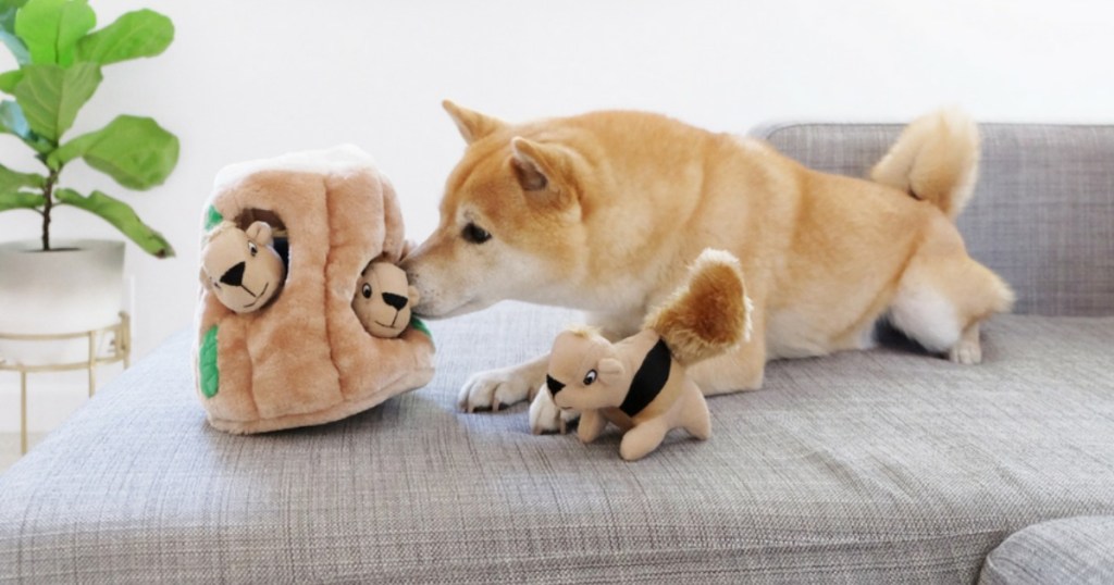 dog sitting on couch by toy