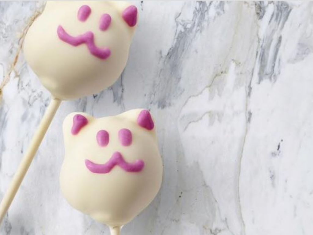 Starbucks Cat Cake Pop on marble background