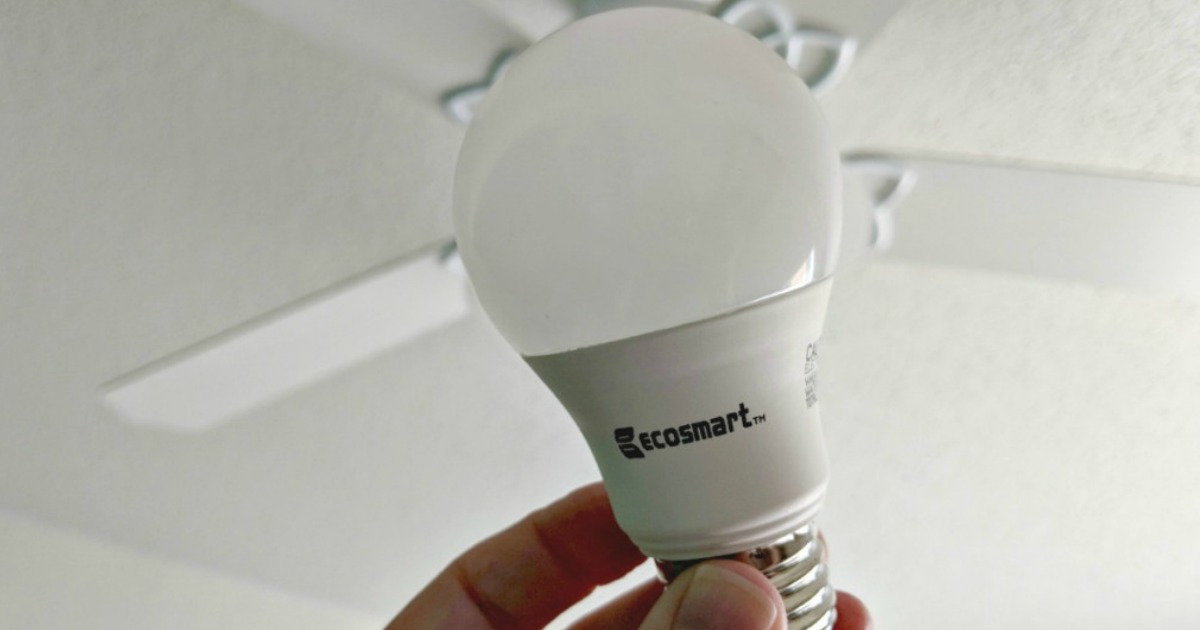 hand holding up ecosmart bulb