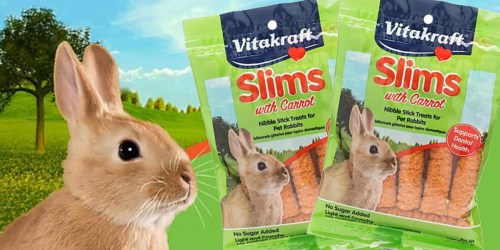 Vitakraft Rabbit Snacks Only 79¢ Shipped at Amazon