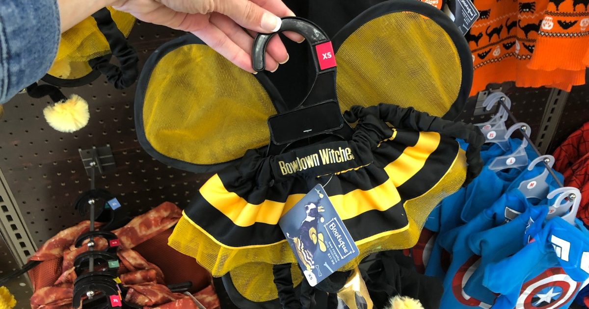 pet bumblebee costume at petco