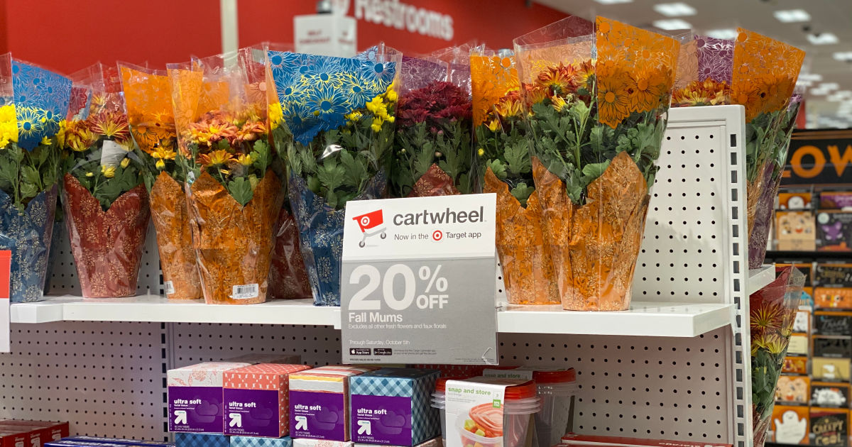 fall mums at target