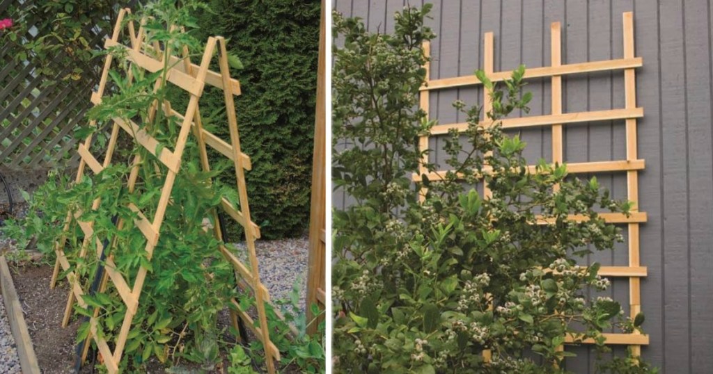 Folding Trellis