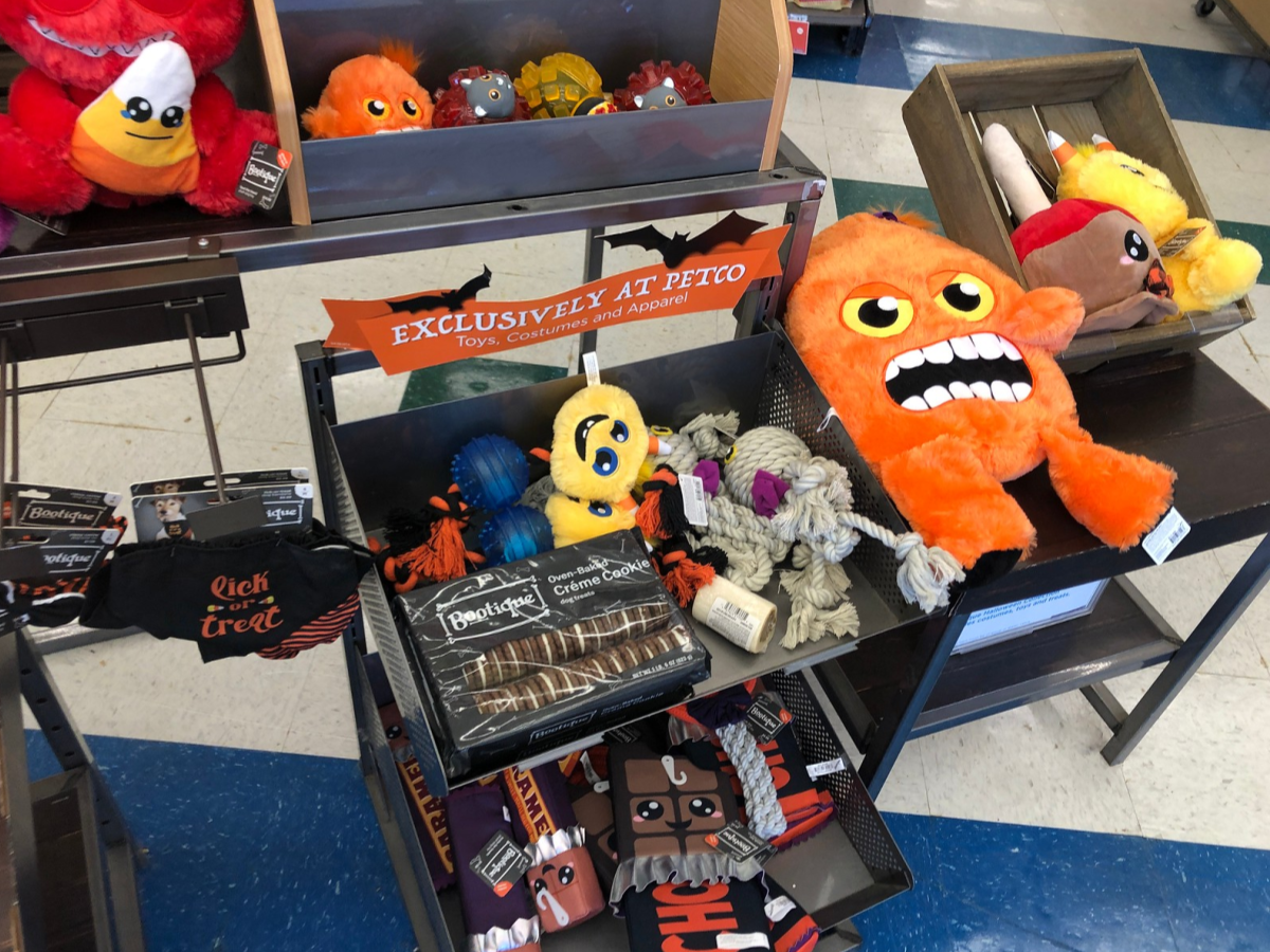 Halloween Dog Toys at Petco