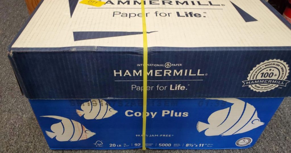 Hammermill Copy Plus case on carpet