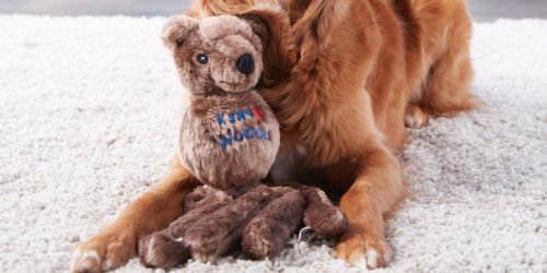 KONG Wubba Friend Dog Toy Only $6 at Walmart (Regularly $15) + More