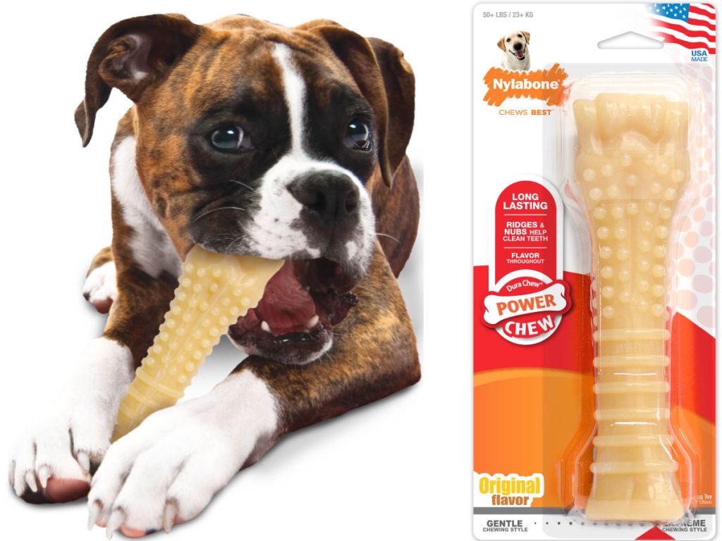 Nylabone Power Chew Dura Chew Dog Chew Toy