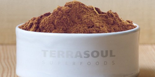 Terrasoul Superfoods Raw Organic Cacao Powder 1-Pound Bag Just $5.46 Shipped