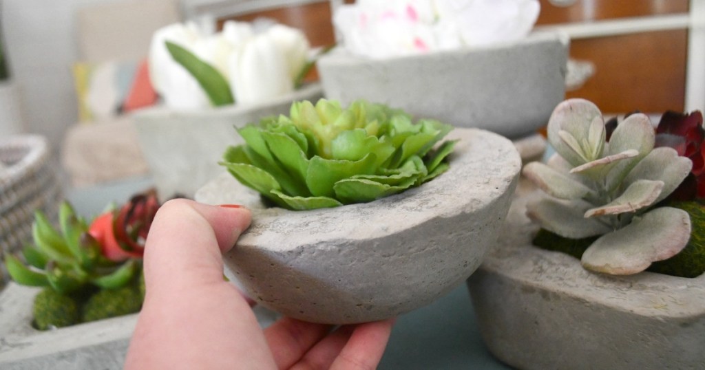 diy concrete planters