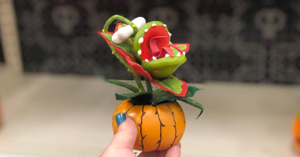 creepy succulent in pumpkin planter