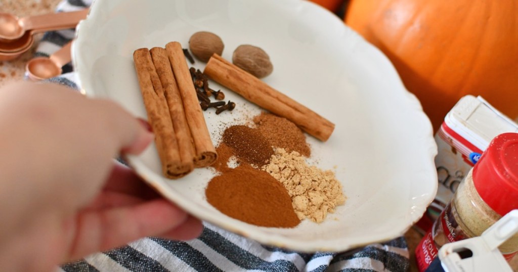 holding a bowl of spices