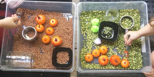 Frugal Seasonal Sensory Bins | Perfect Fall Fun for Toddlers