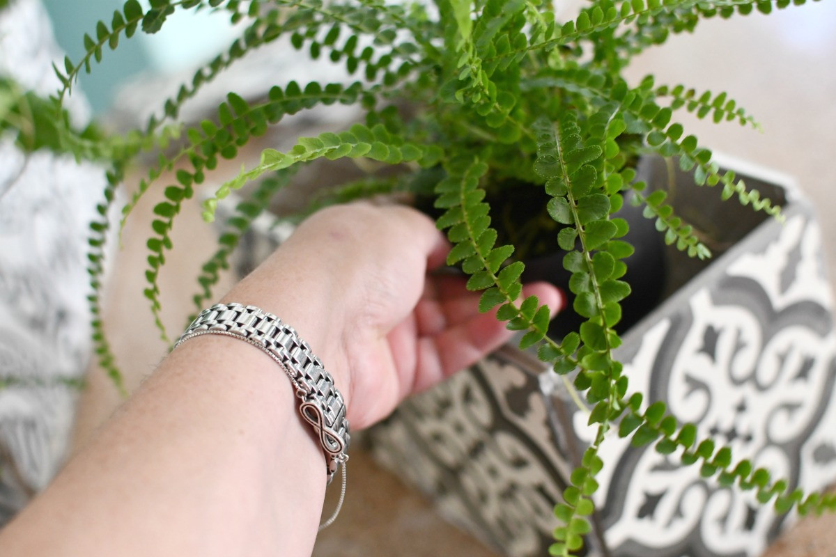 placing plants into ceramic planter