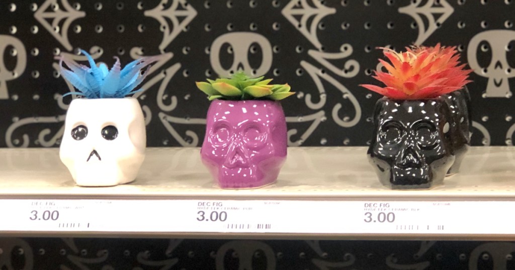 succulents in skulls