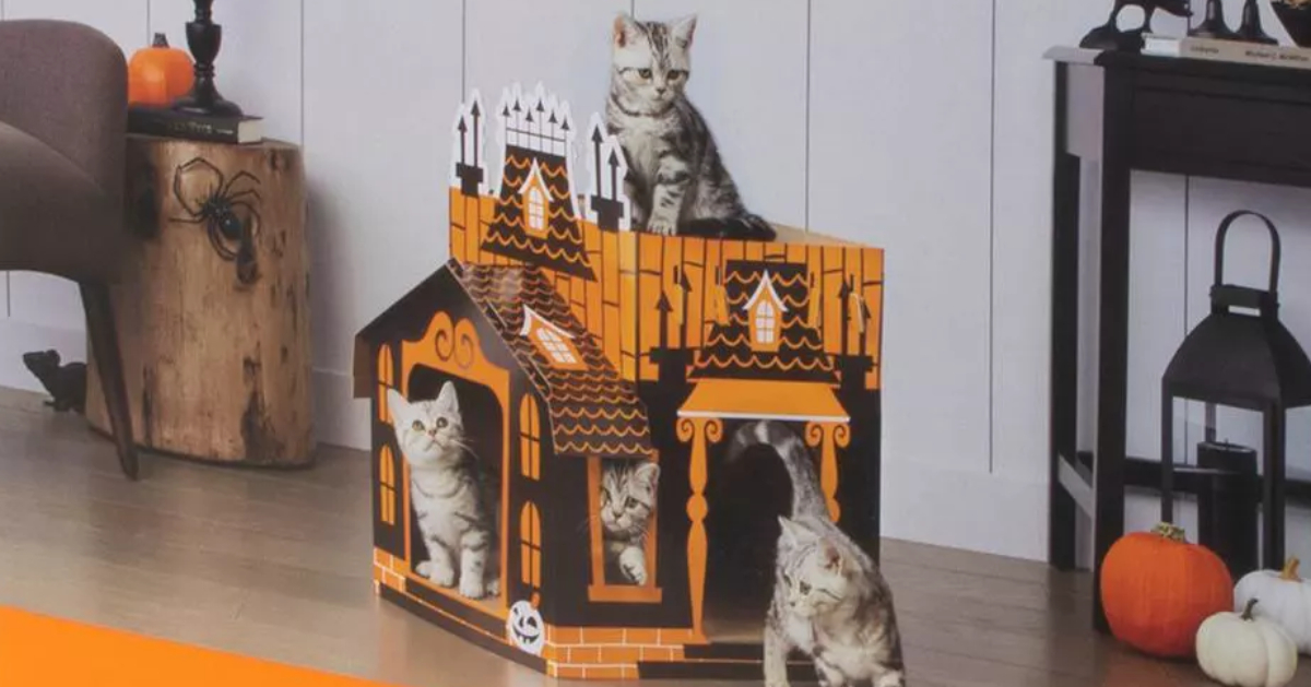 Haunted cat mansion