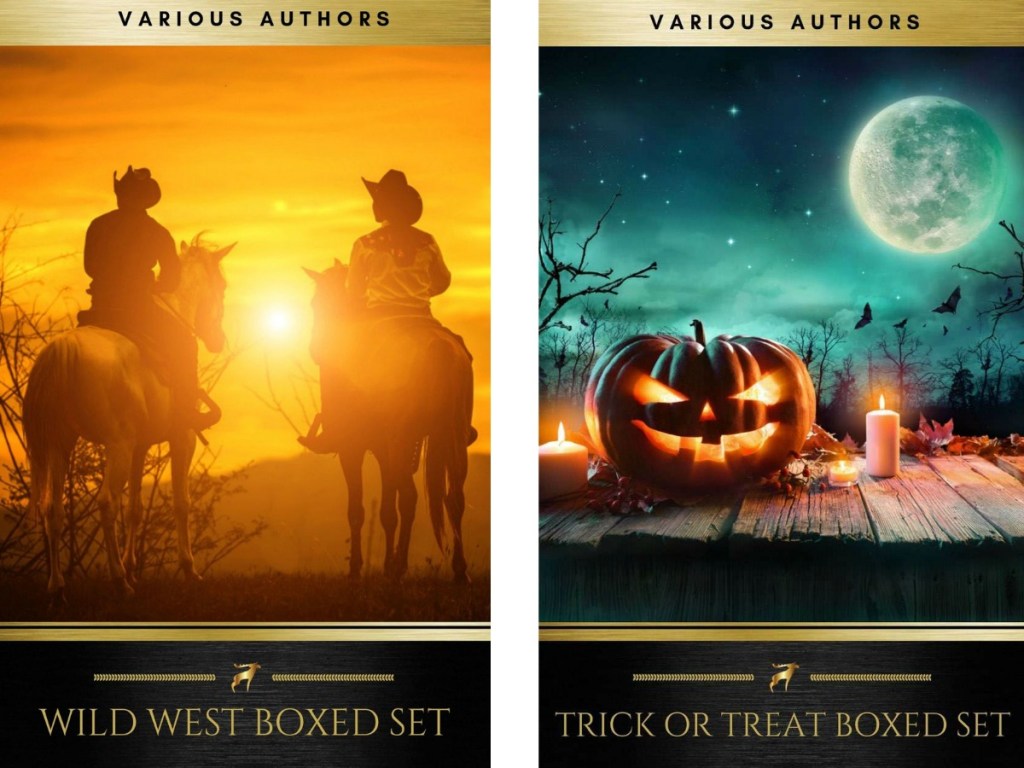 cowboy book cover and halloween book cover