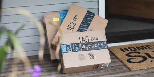 Amazon Sells Items for Under $1 w/ FREE Next-Day Delivery