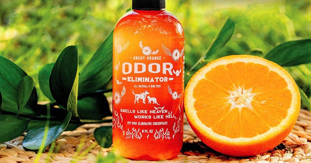 Angry Orange Odor Eliminator