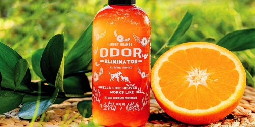 Angry Orange Odor Eliminator Spray Just $12.68 Shipped on Amazon | Makes Your Home Smell Citrus Clean