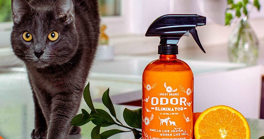 Angry Orange Odor Eliminator Spray on counter by cat