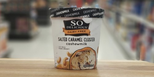 Rare $2/1 So Delicious Dairy Free Frozen Dessert Coupon