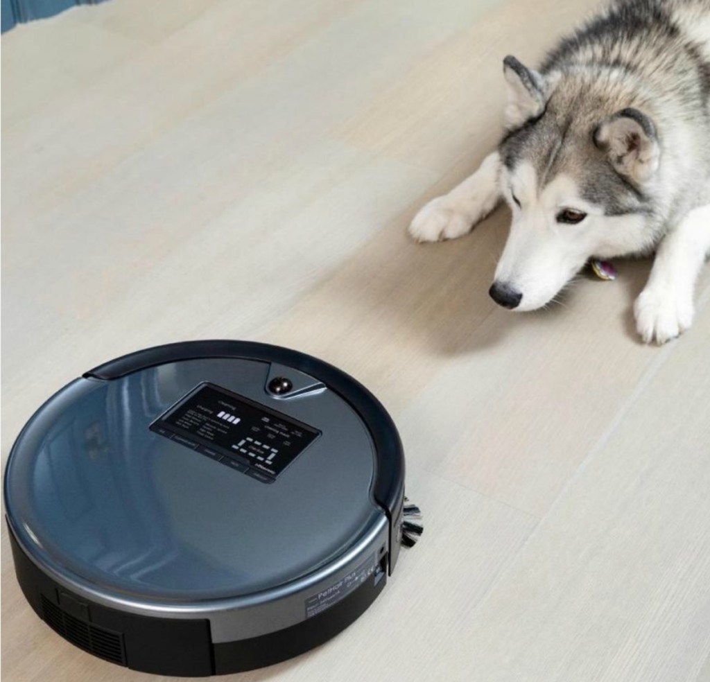 Bobsweep PetHair Plus Robotic Vacuum on hardwood floor with husky