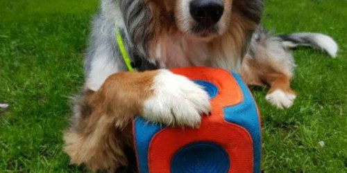 Chuckit! Kick Cube Dog Toy Only $5.25 (Regularly $25)