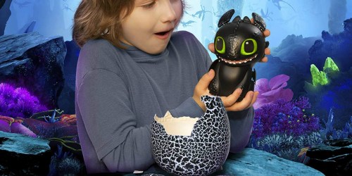 How to Train Your Dragon Toothless Interactive Hatching Dragon Just $48.88 Shipped (Regularly $60)