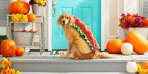 Up to 35% Off Halloween Pet Costumes at Chewy.online | Hot Dog, Star Wars & More